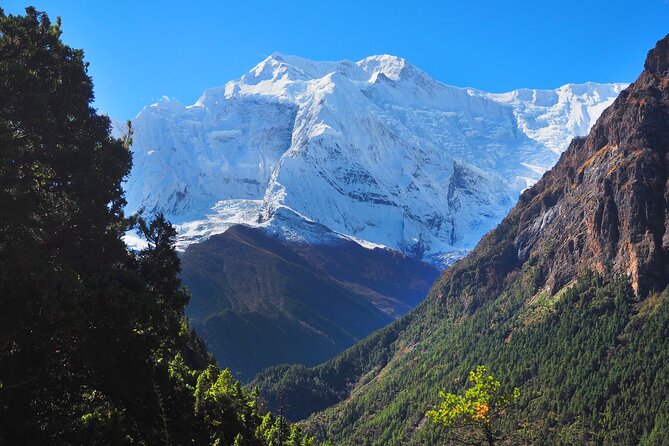 8 Days Private Guided Trekking in Annapurna With Pickup - Pricing Details and Reviews