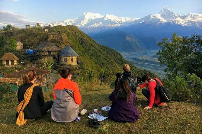 8-Days Private Kathmandu Chitwan and Pokhara City Tour - Meals and Dietary Options