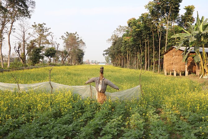 8-Days Private Kathmandu Chitwan and Pokhara City Tour - The Sum Up