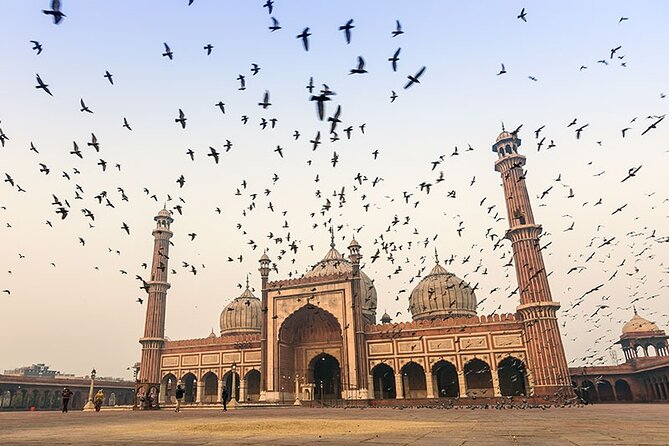 8 Days Private Luxury Tour of Taj Mahal & Palaces of India - Timeless Royalty - Itinerary Highlights