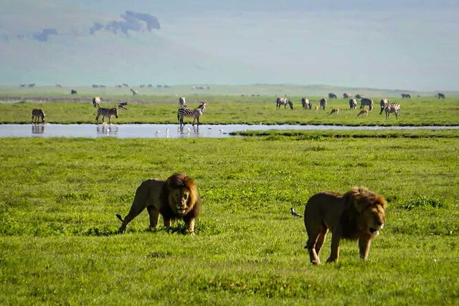 8-Days Private Midrange Safari: Tarangire, Serengeti & Ngorongoro - Park Fees and Activities