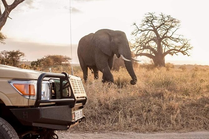 8-Days Private Midrange Safari: Tarangire, Serengeti & Ngorongoro - Pickup and Drop-off Points