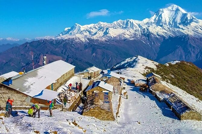 8 Days Private Pokhara Trekking to Khopra Hill - Transportation and Pickup Details