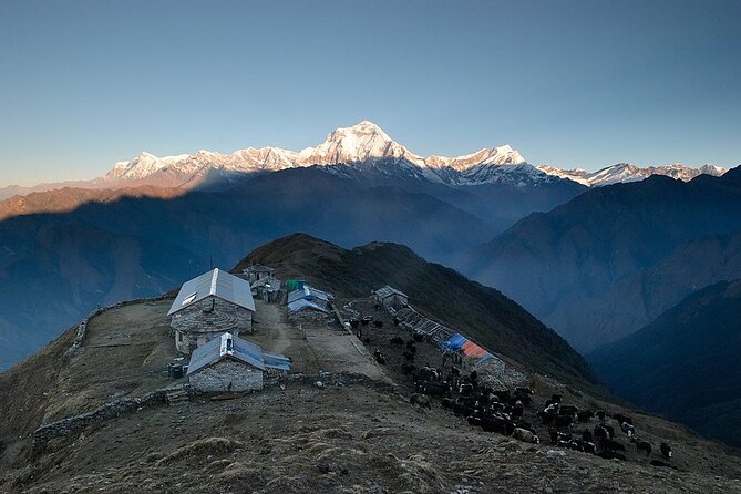 8 Days Private Pokhara Trekking to Khopra Hill - Additional Information and Tips