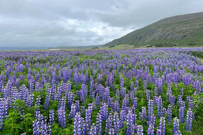 8 Days Private Sightseeing Tour in Iceland - Itinerary Highlights and Attractions