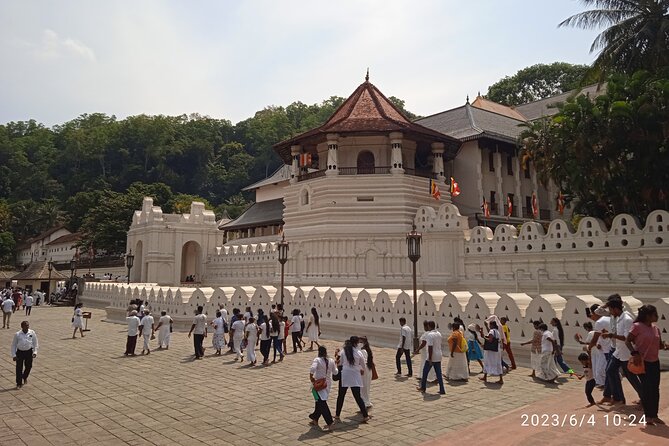 8 Days Private Sri Lankan Round Tour - Day 2: Polonnaruwa Ancient City and Elephant Safari