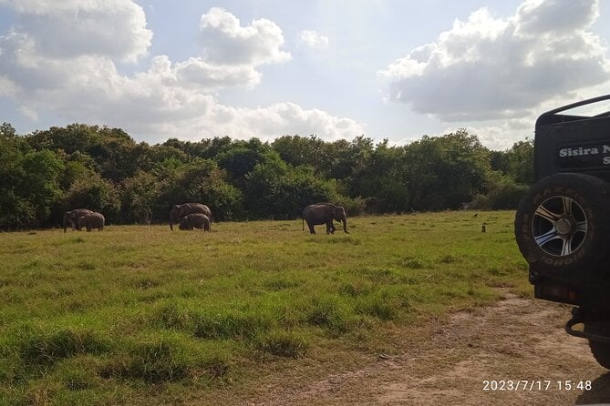 8 Days Private Sri Lankan Round Tour - Day 4: Nuwara Eliya Tea Plantations and Waterfalls