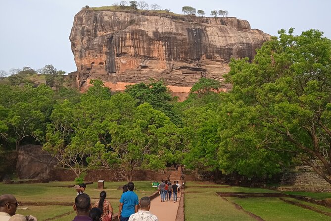 8 Days Private Sri Lankan Round Tour - Day 6: Yala National Park Safari and Wildlife Encounter