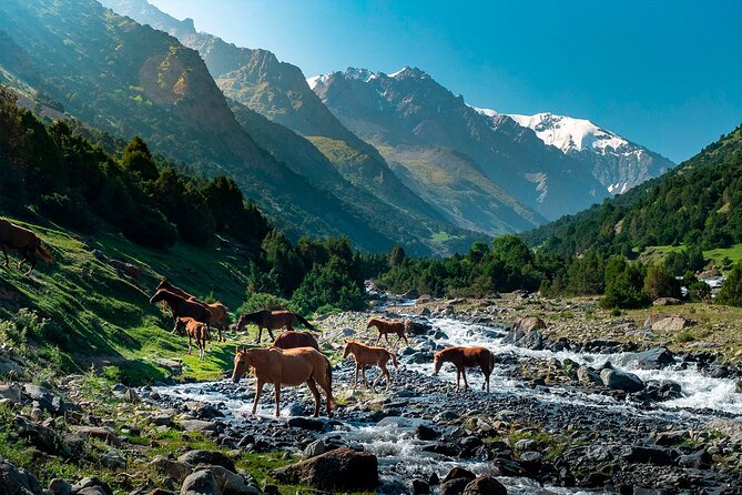 8 Days Private Tour at Lenin Peak Base Camp Trek - Important Directions