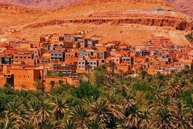 8-Days Private Tour Luxury to Fez via Desert From Marrakech & Transfers Airport - Airport Transfers