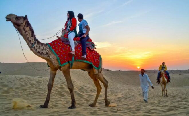 8 Days Rajasthan Tour - Jaipur, Jodhpur, Jaisalmer & Bikaner - Guided Activities