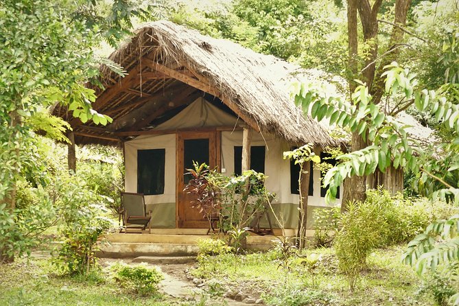 8 Days Safari to Mikumi, Ruaha & Udzungwa Mountains - Accommodations and Meals