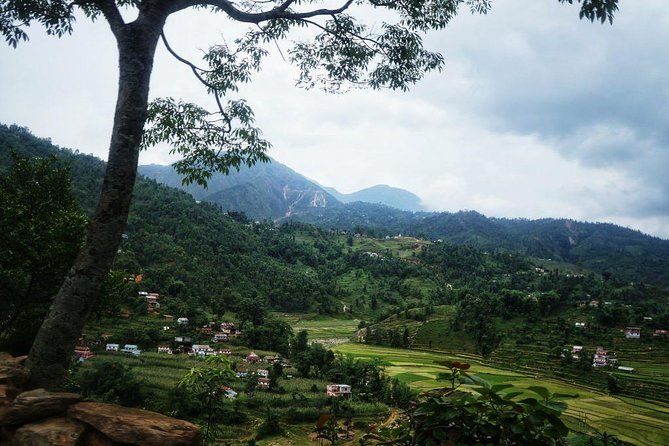 8 Days Sirubari Village Homestay Community Hike - Common Questions