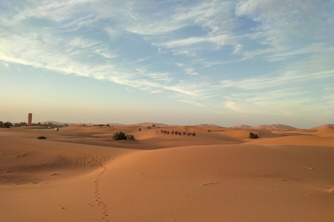 8 Days South Morocco Adventure 5 Days Desert Trek - Good To Know