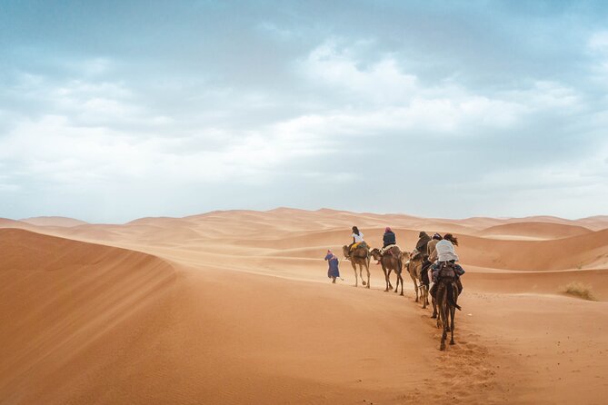 8 Days South Morocco Adventure 5 Days Desert Trek - Pricing Information