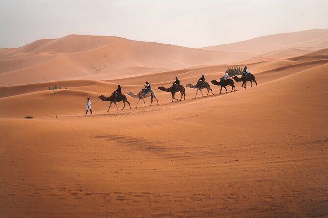 8 Days South Morocco Adventure 5 Days Desert Trek - What To Expect