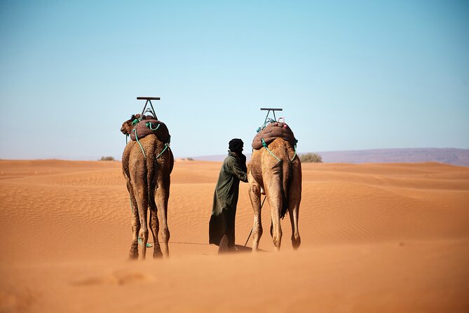 8 Days South Morocco Adventure 5 Days Desert Trek - Booking Information