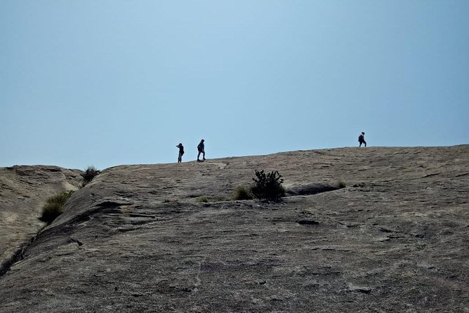 8 Days Sri Lanka Private Tour With Air Conditioned Vehicle - Tour Operator Information