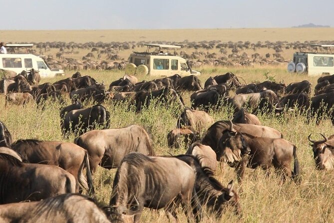 8 Days Tanzania Lodge Safari | Semi Luxury . - Dining Experience