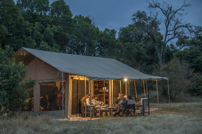 8 Days Tanzania Wildlife Safari Experience - Safari Activities