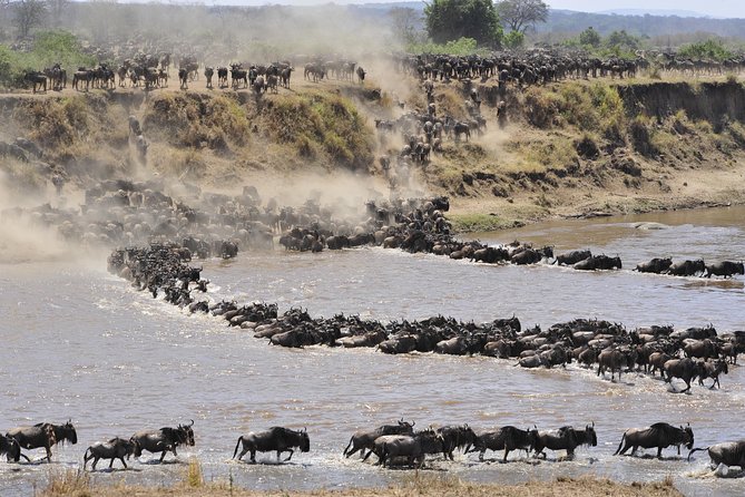 8 Days Tanzania Wildlife Safari Experience - Dining Experiences