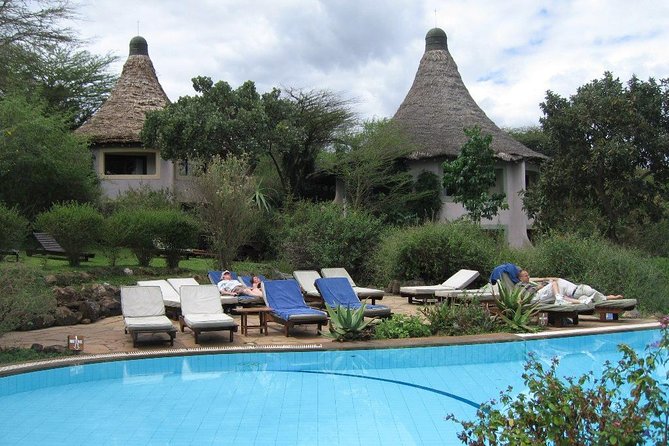 8 Days Tanzania Wildlife Safari Experience - Transportation Logistics