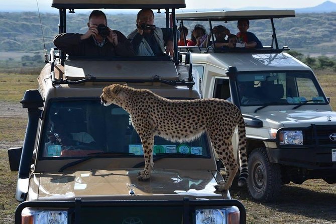 8 Days Tanzania Wildlife Safari Experience - Booking Information