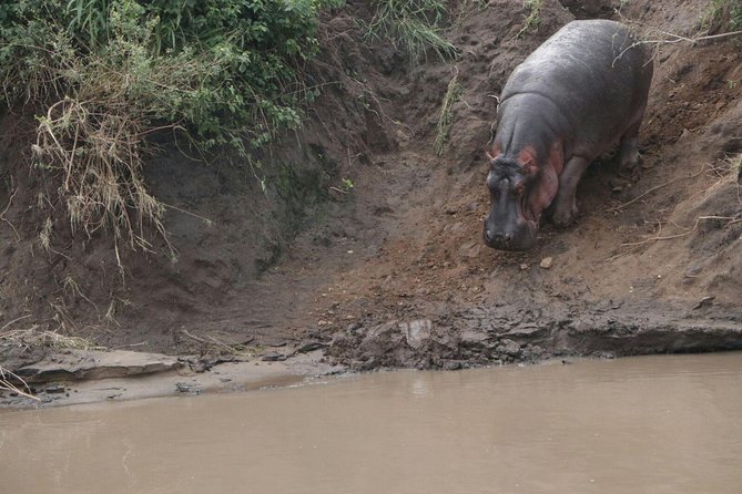 8 Days Tarangire, Serengeti, Ngorongoro & Manyara Joining Group Safari Tour - Meeting and Pickup Details