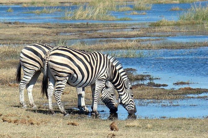 8 Days Tarangire, Serengeti, Ngorongoro & Manyara Joining Group Safari Tour - Frequently Asked Questions