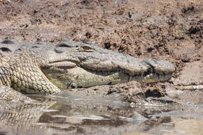 8 Days Tarangire, Serengeti, Ngorongoro & Manyara Mid-range Camping Safari Tour - Accommodation Details
