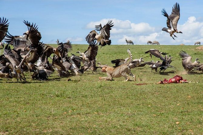 8 Days Thrilling Safari in Mount Kenya Region, Kenya. - Cultural Experiences and Interactions