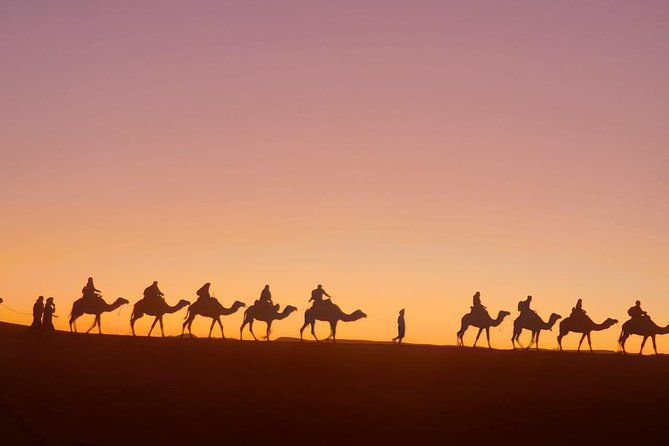 8 Days Tour From Casablanca to Merzouga Desert Fes and Marrakech - Day 6: Journey Back to Fes