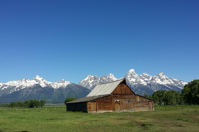 8 Days Tour Grand Teton & Yellowstone Explorer - Itinerary Highlights