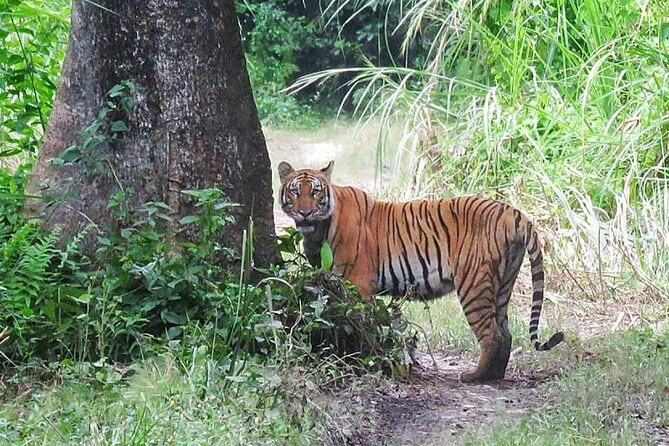 8 Days Tour in Nepal (Accommodation at 5 Star Hotel) - Tour Highlights