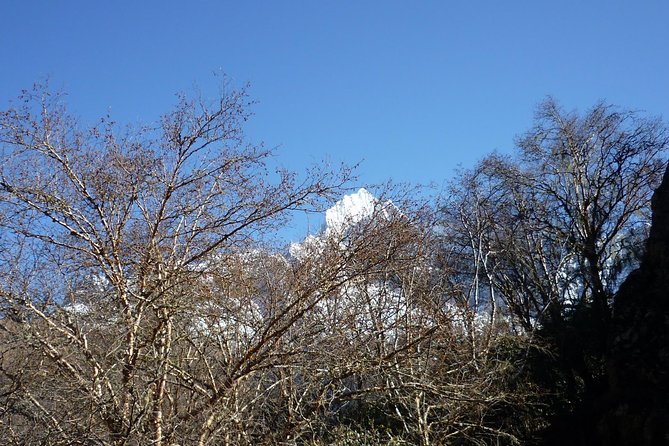 8 Days Trek to Everest - Day 6: Trek to Dingboche