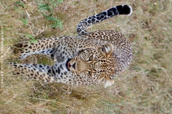 8 Days: Tsavo East National Park Amboseli, Nakuru, Maasai Mara Park - Park Descriptions