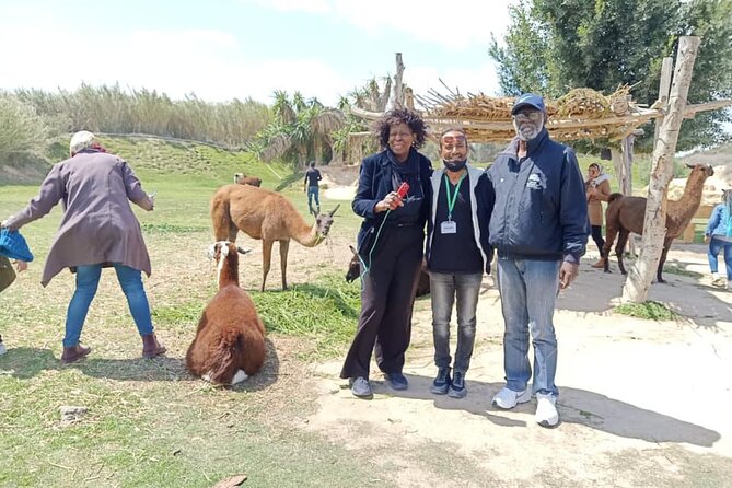 8-Hour Africa Safari Park Private Tour From Cairo With Hotel Pickup and Drop-Off - Inclusions and Exclusions