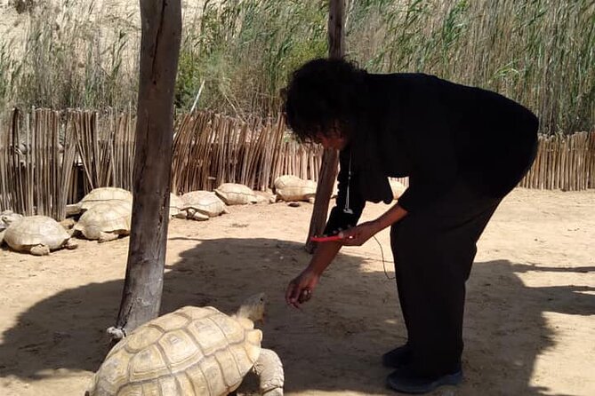 8-Hour Africa Safari Park Private Tour From Cairo With Hotel Pickup and Drop-Off - Pickup and Drop-off Details