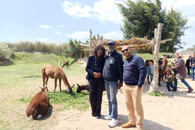 8-Hour Africa Safari Park Private Tour From Cairo With Hotel Pickup and Drop-Off - Frequently Asked Questions
