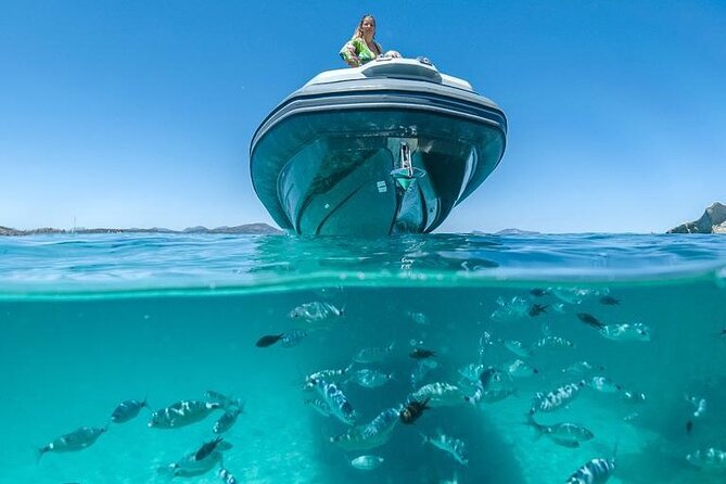 8 Hour Boat Tour in the Marine Protected Area of Tavolara Molara - Tour Highlights