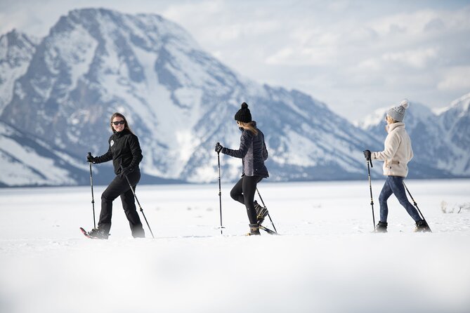 8 Hour Combination Snowshoe & Wildlife Viewing in Grand Teton National Park - Wildlife Viewing Opportunities