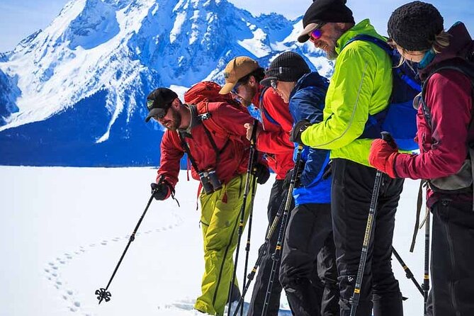 8 Hour Combination Snowshoe & Wildlife Viewing in Grand Teton National Park - Common Questions