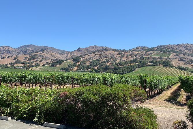 8-Hour Custom Private Napa and Sonoma Wine Tour - Traveler Photos and Reviews