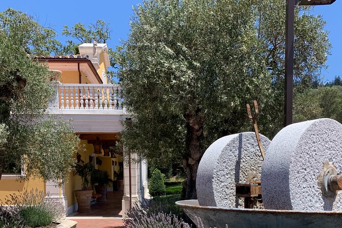 8-Hour Custom Private Napa and Sonoma Wine Tour - Common Questions