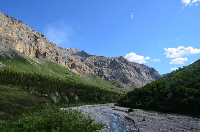 8 Hour Denali Mountainous Hiking Activity - Activity Overview