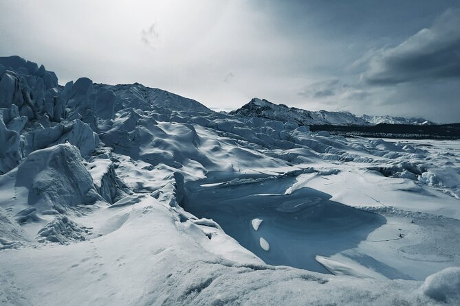 8 Hour Matanuska Glacier Adventure With Panoramic Bus in Alaska - Wildlife Encounters