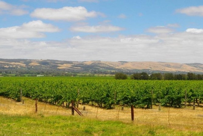 8-Hour Mclaren Vale Winery Tour From Adelaide - Tour Details