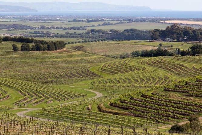 8-Hour Mclaren Vale Winery Tour From Adelaide - Additional Information