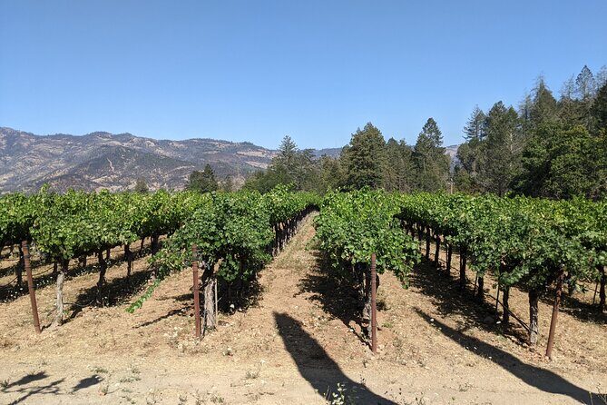 8 Hour Napa and Sonoma Valley tour - An In-Depth Look at the 8-Hour Napa and Sonoma Tour