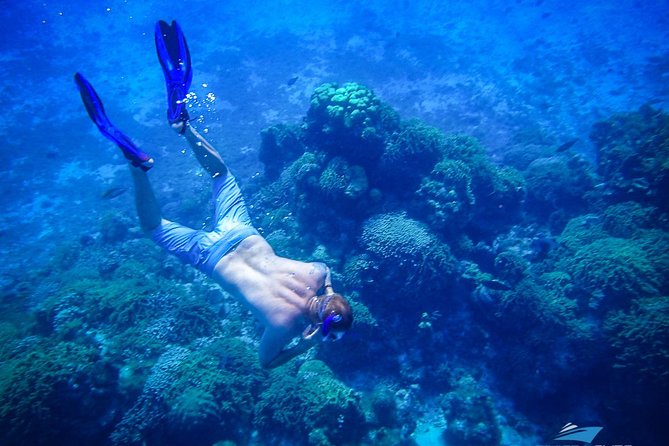 8-Hour Private 40 Yacht 2-Stop Tour to Palancar Beach W/ Food, Drinks & Snorkel - Tour Details and Highlights